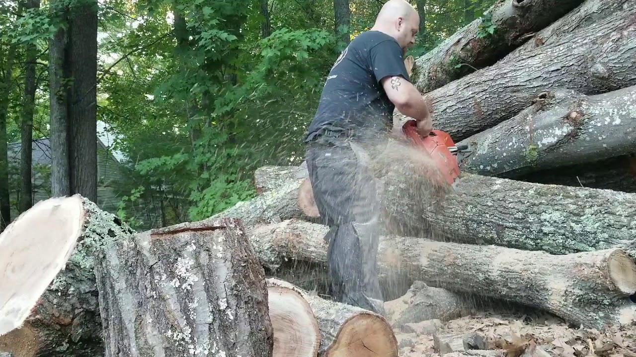 Husky 266XP