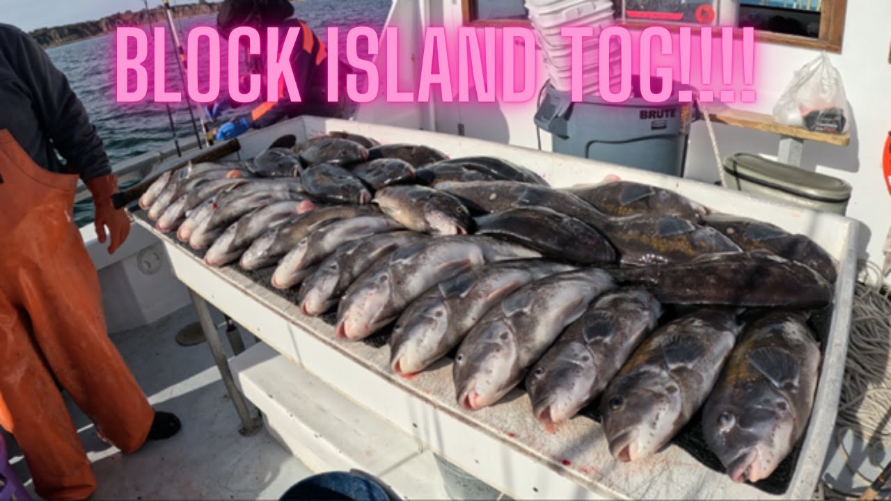 Block Island Blackfish - Why Block Island is my Favorite Fishing Destination in Northeast!