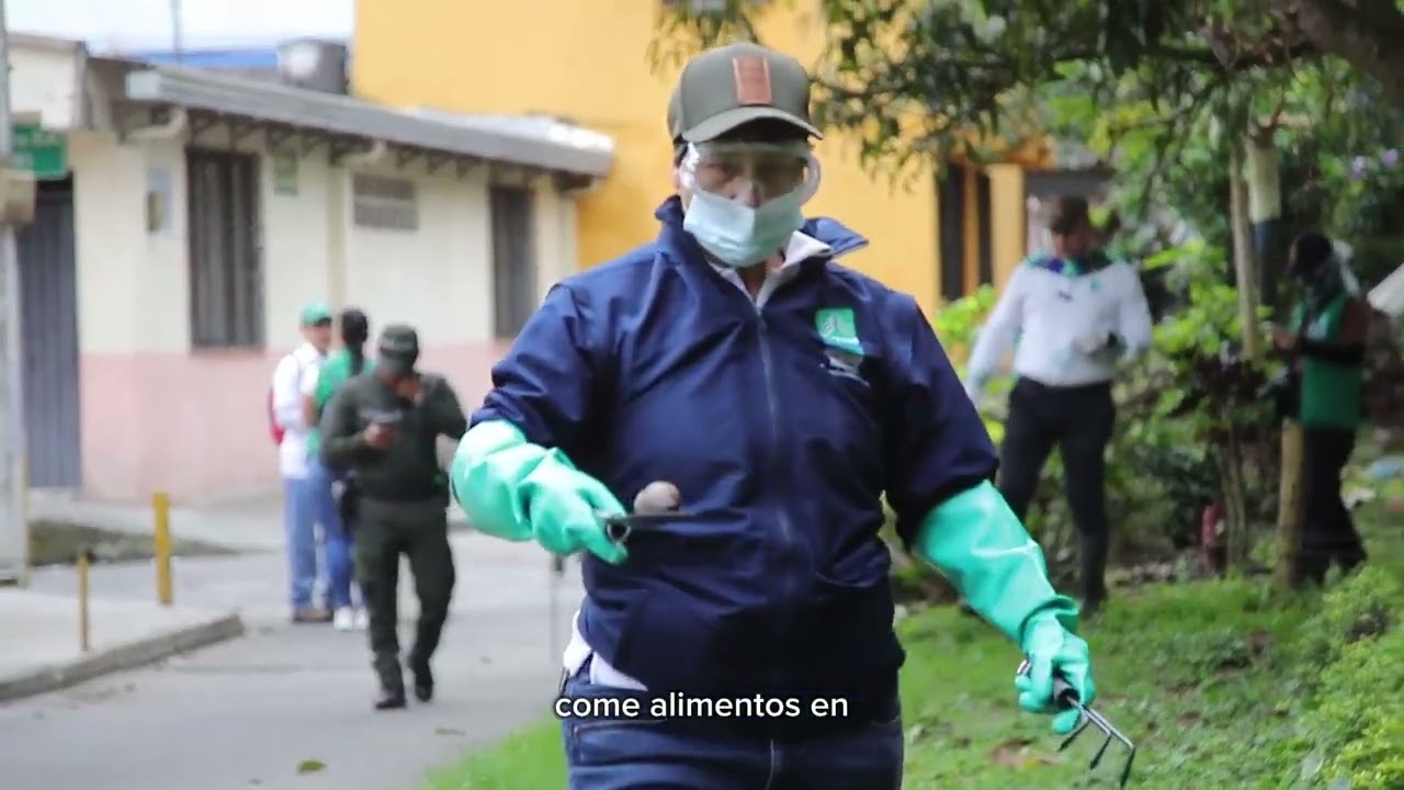 DESDE PEREIRA PRIMERA PLANA NOTICIAS - CARDER 2026 / FEBRERO - Semana 1 - Control Caracol Africano