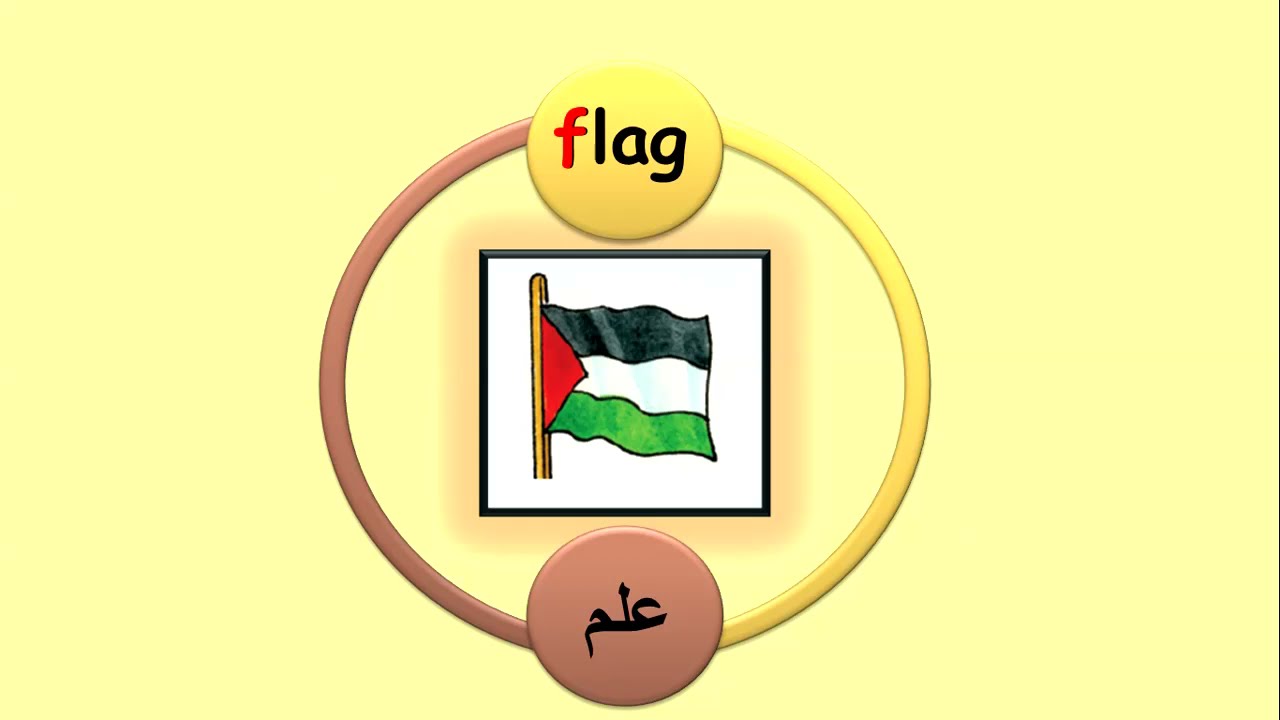 الوحدة الثانية عشر ( p:1+2) - لغة إنجليزية للصف الثاني