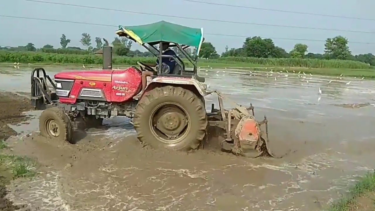 Uttar Pradesh farm