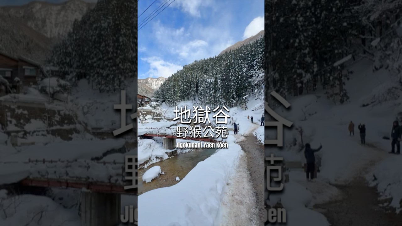 旅記 - 地獄谷野猿公苑 (じごくだにやえんこうえん)