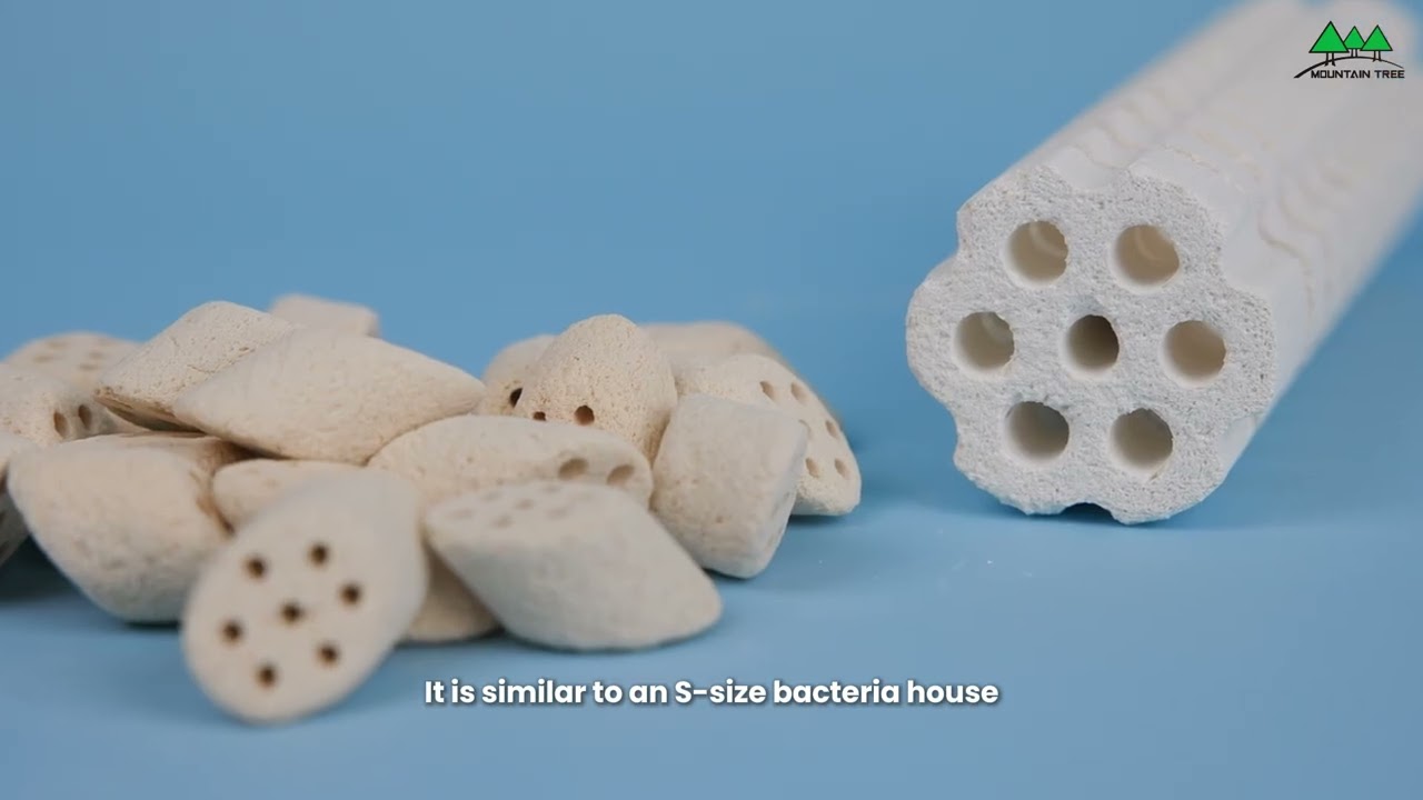 Upgrade Your Filter Media: 4 Rings That Supercharge Water Quality