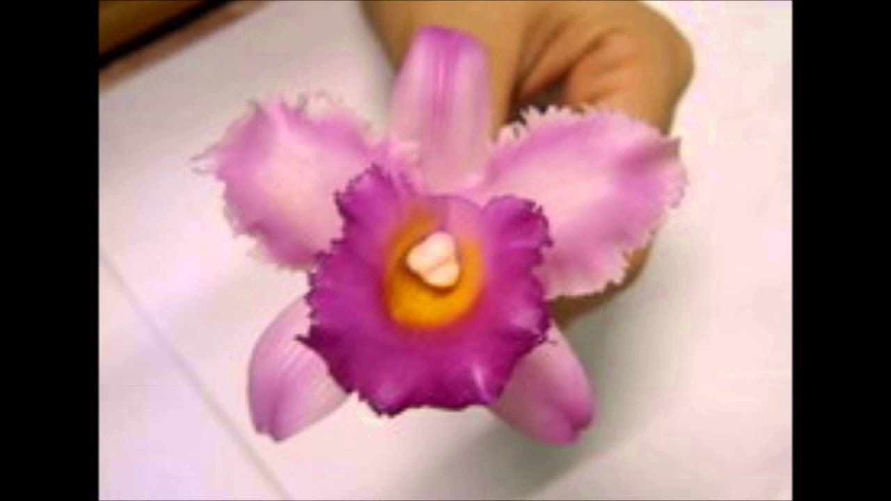 How to make Clay Flower Cattleya Orchid tutorial / Polymer Clay / Sugar Craft / Cake Decoration