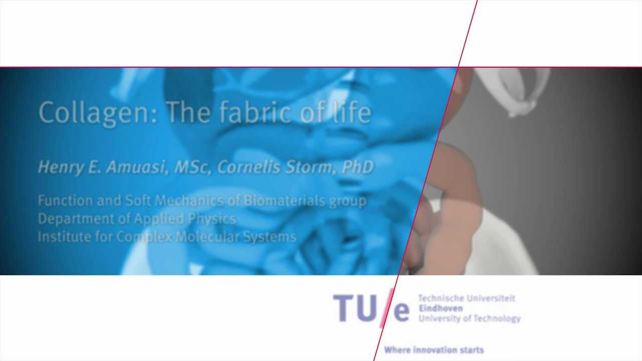 Collagen: The fabric of life