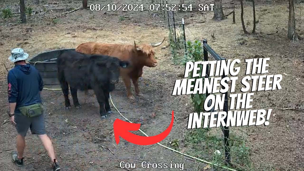 This Is How It Went...