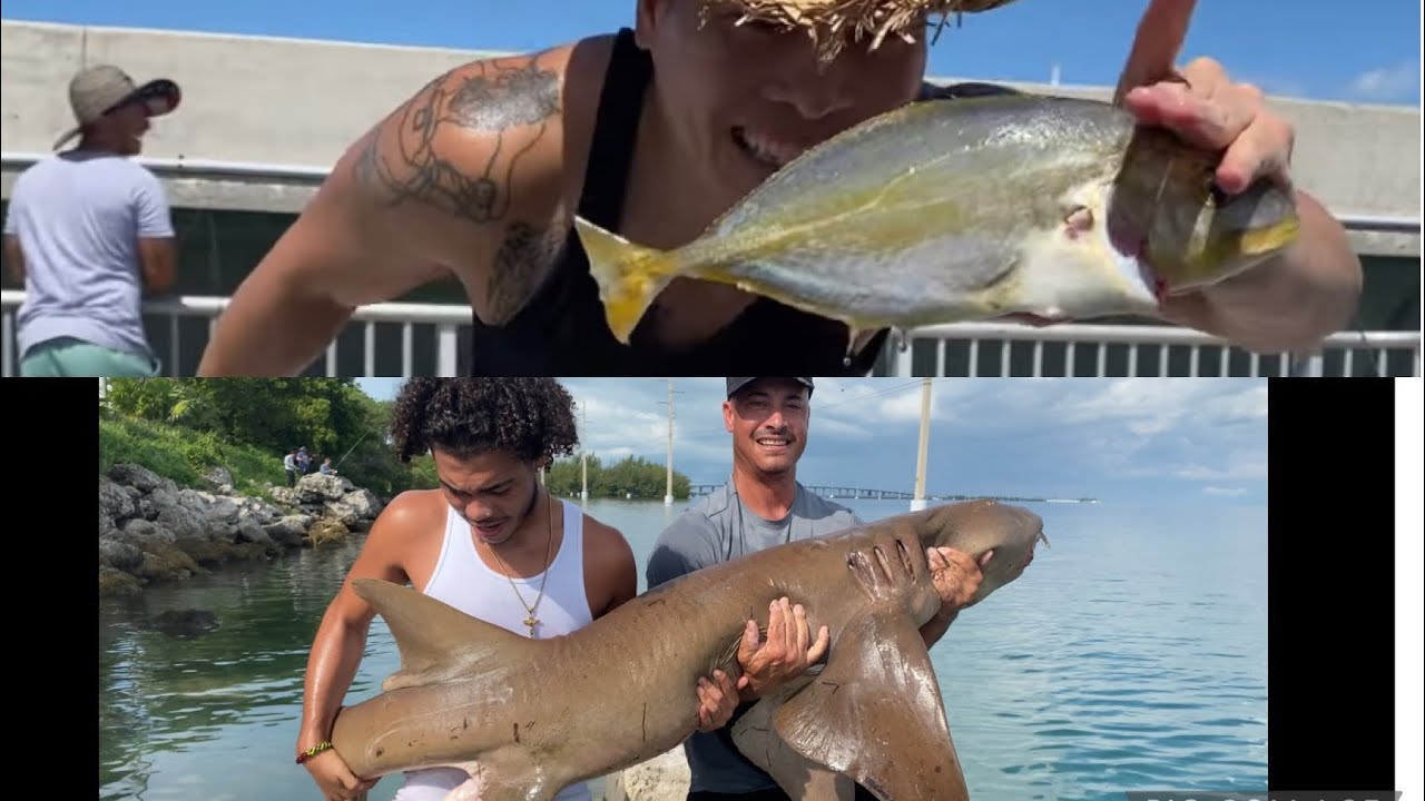 CÁ Bự Quá Không biết làm Gì ĂN | Florida Keys Fishing | LuuLinh TV