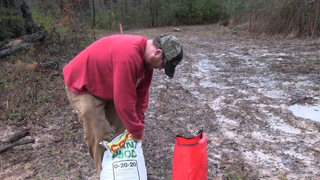 Fertilizing A Clover Food Plot