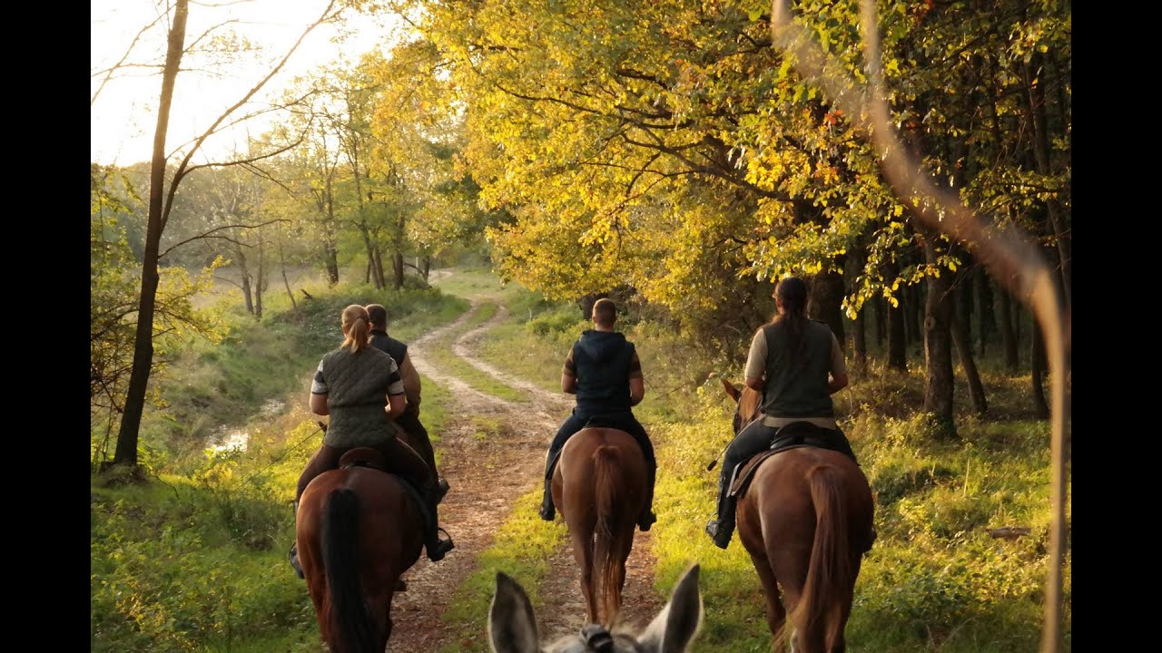 Eurohorse- Lovas Barangoló Észak- Magyarország és az Észak-Alföld tájain
