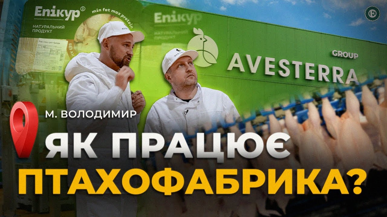 Інвестували 60 000 000 євро в курей – як працює Avesterra Group? / Епікур, Чебатурочка, Delika