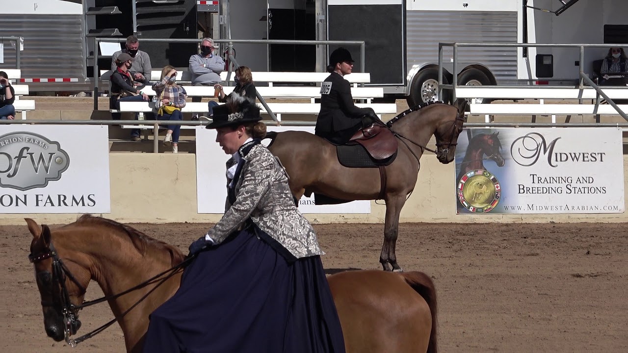 Scottsdale Arabian Show 2021 Ladies English Side Saddle