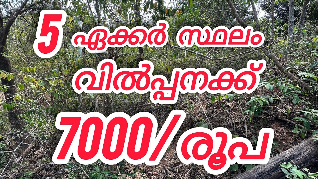 5 ഏക്കർ സ്ഥലം 7 ലക്ഷം#vairal #housenlands #kerala#keralaproperty#realestatekerala#realestate #kannur