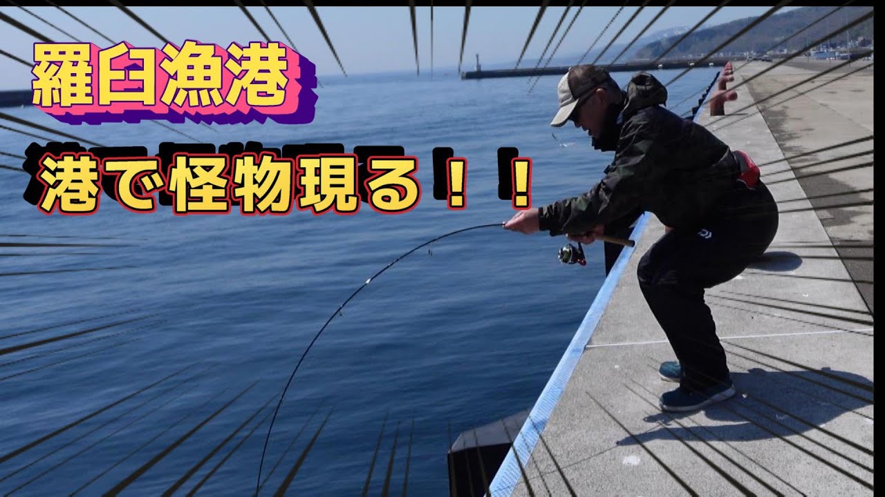 【釣り初心者OK】知床羅臼でカレイ釣り！こんな怪物釣れるとは！