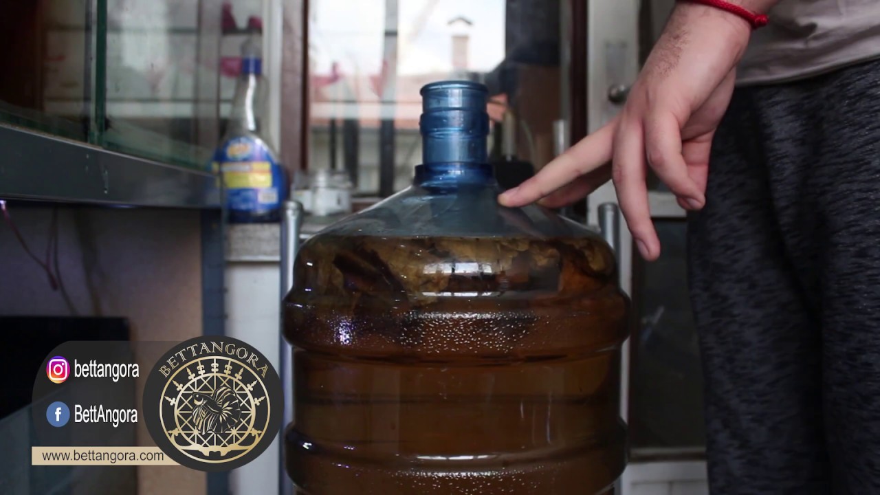 Betta Akvaryum Kurulumu (AKVARYUM SUYU HAZIRLAMA)