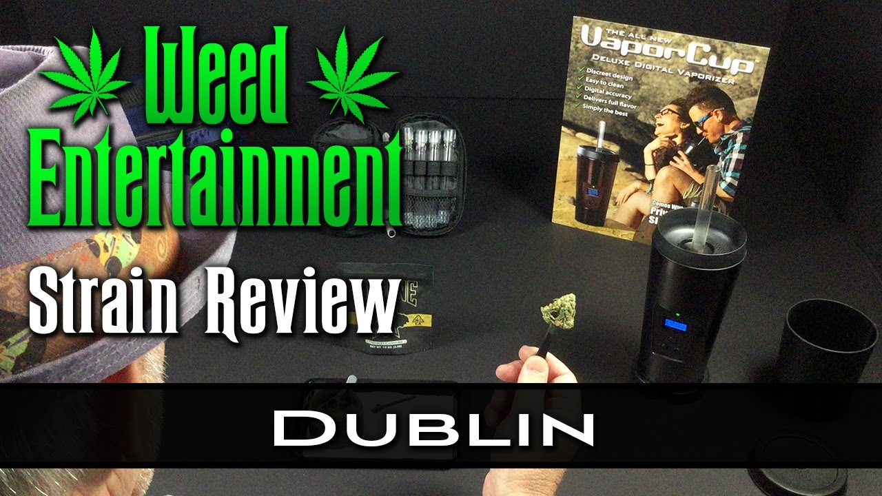 Dublin - Hybrid - by Insane  - Strain Review - from Dr Greenthumbs, Sylmar Ca