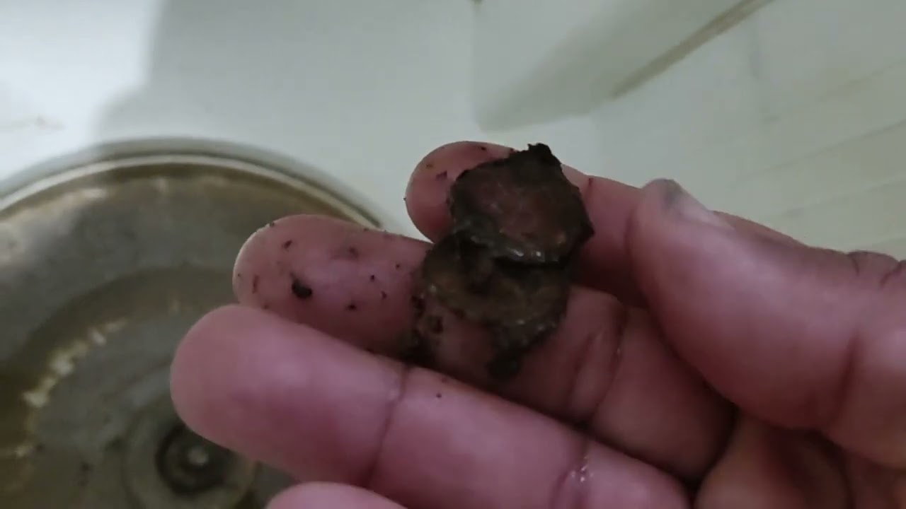 TANQUINHO NÃO DESCE A AGUA RESOLVIDO😊