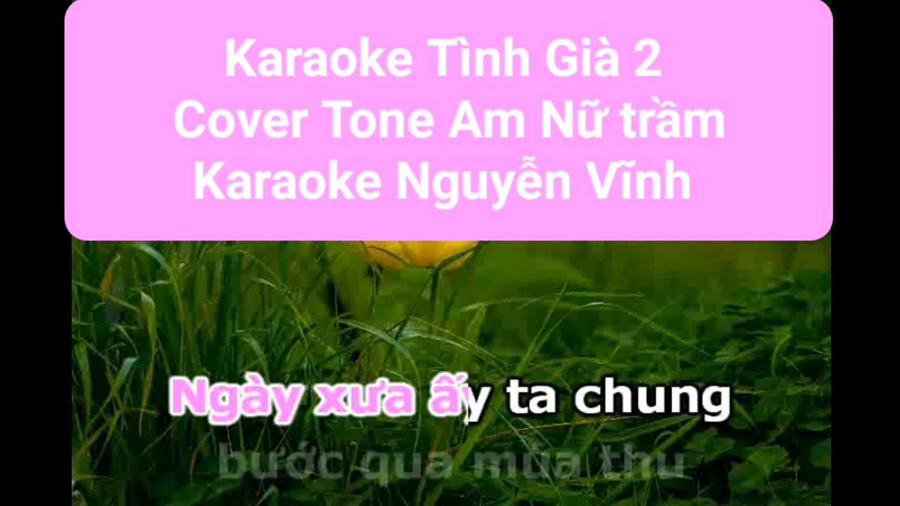 Karaoke Tình Già 2 Cha Cha Cha Cover (Richard Le Ai music) Tone Am Nữ trầm SC Karaoke Nguyễn Vĩnh 