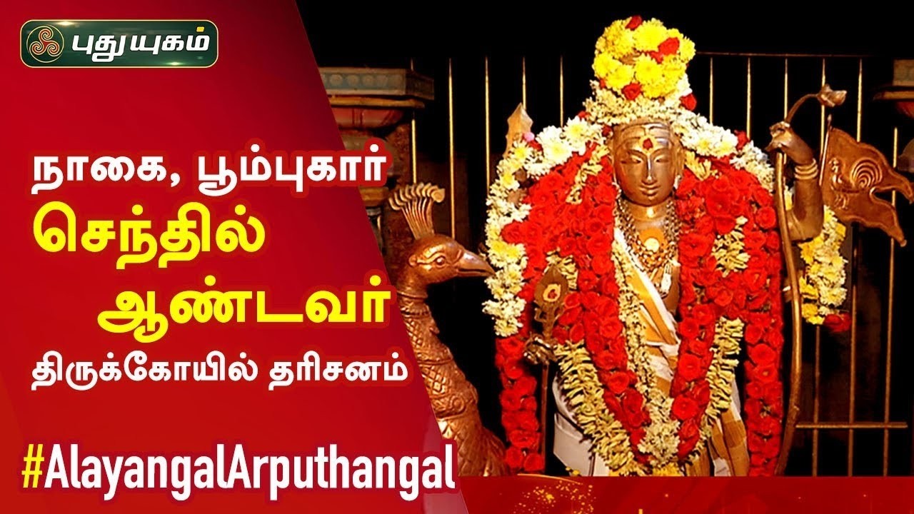 பூம்புகார் செந்தில் ஆண்டவர் திருக்கோயில் சிறப்பு தரிசனம்...!! Alayangal Arputhangal | #puthuyugamtv