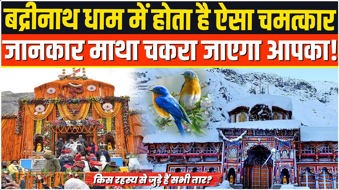 बद्रीनाथ में क्यों नहीं होता ऐसा काम, क्या सच में ये चमत्कार है? | Facts About Badrinath | VK News