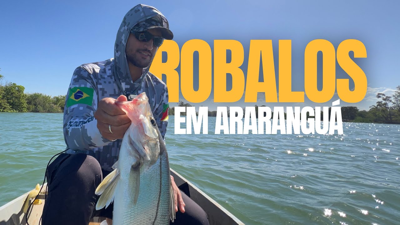 ROBALOS NO RIO ARARANGUÁ | Ataques na superfície! 