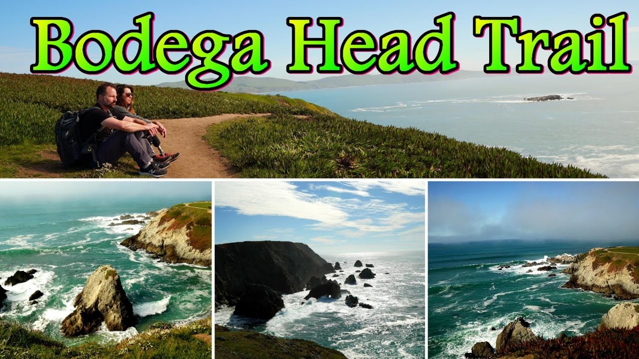 Bodega Head Trail| Bodega Bay, California