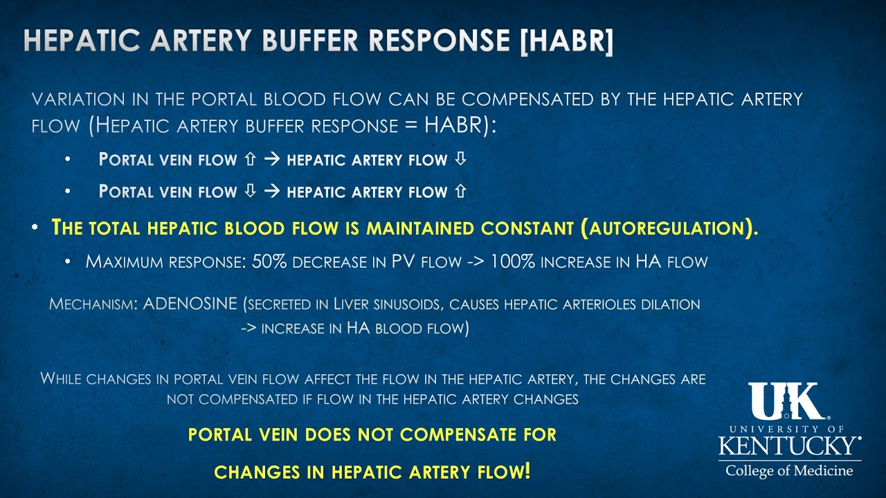 Hepatology Keyword Review 2019 - (Dr. Rebel)