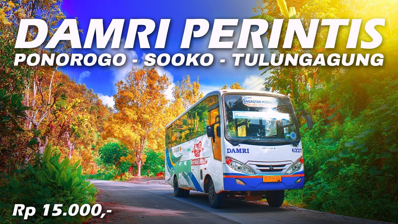 #1 PONOROGO - TULUNGAGUNG | Naik Bis Lewat Jalur Pegunungan (DAMRI Perintis)