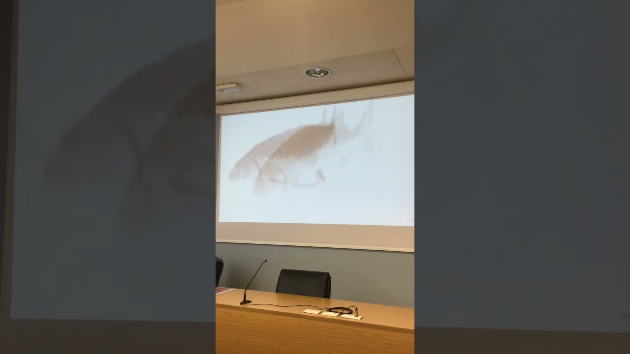 un normale giorno per una scuola professionale