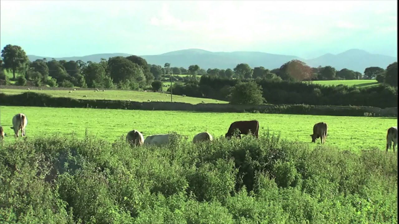 Agri Aware's 'Follow the farmer' - the Beef farm of Angus Woods in Autumn 2014