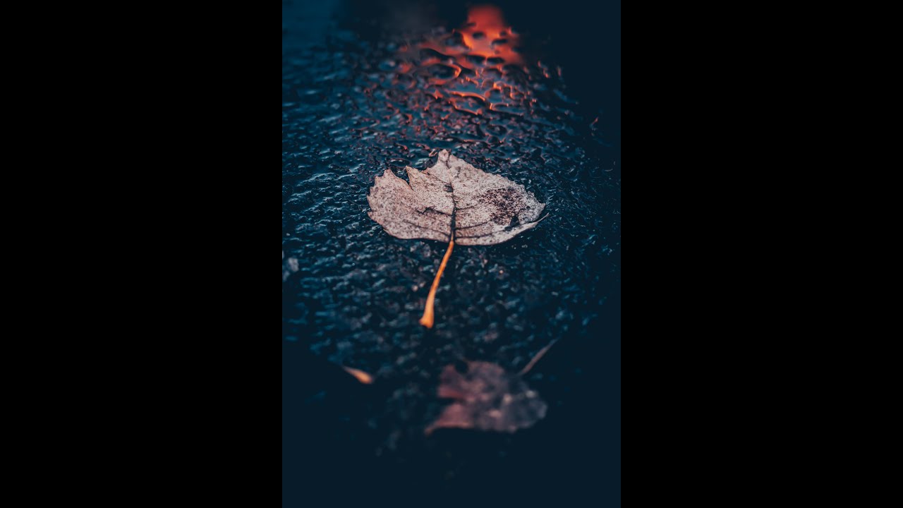 RELAXING RAIN SOUND 2000Hz