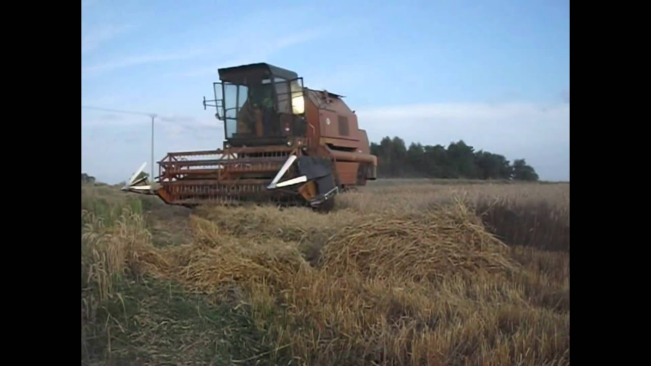 Zniwa 2014