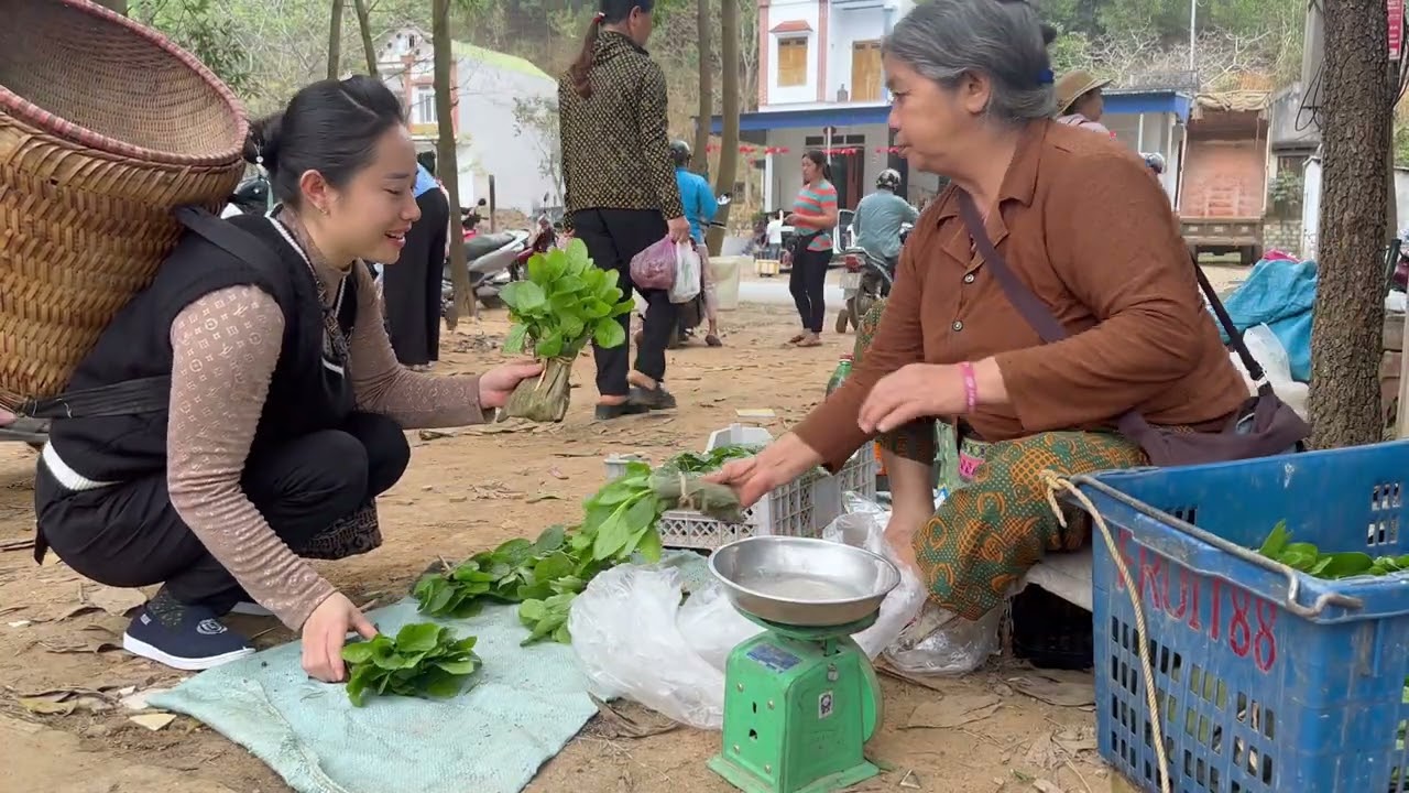 Harvesting green beans, tomatoes, cabbage, garlic to sell at the market - Gardening