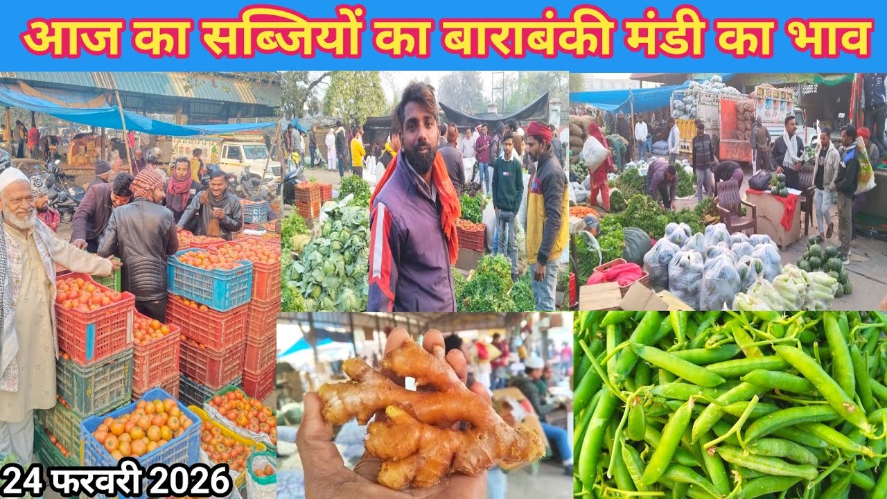 February 24, 2026💯 आज का सब्जियों का बाराबंकी मंडी का भाव 🥰 Aaj ka sabjiyon ka bhav 🍅 vegetable rate