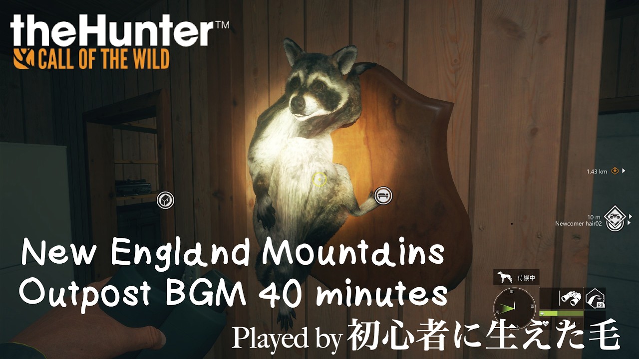 New England Mountains Outpost BGM 40 minutes「 #theHunterCalloftheWild / #ザハンターコールオブザワイルド ( #COTW )」