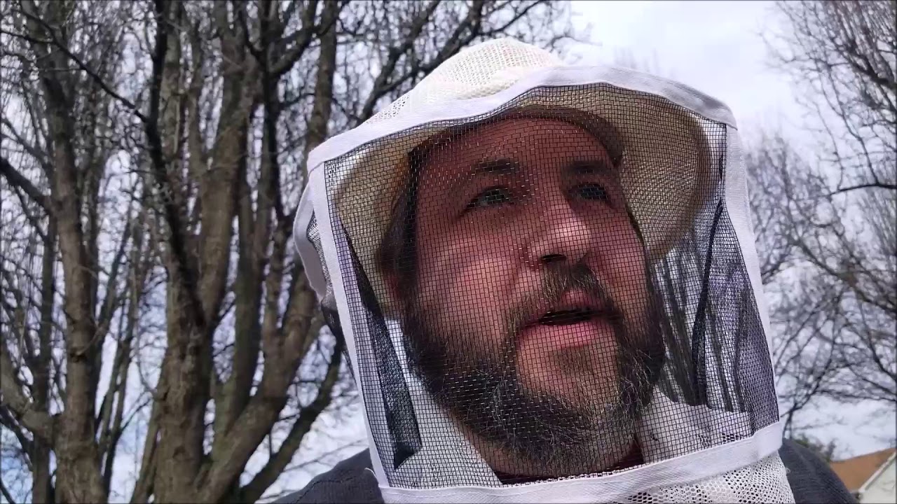 Did the bees survive the winter of 2018?? Lets walk down to the yard and see.