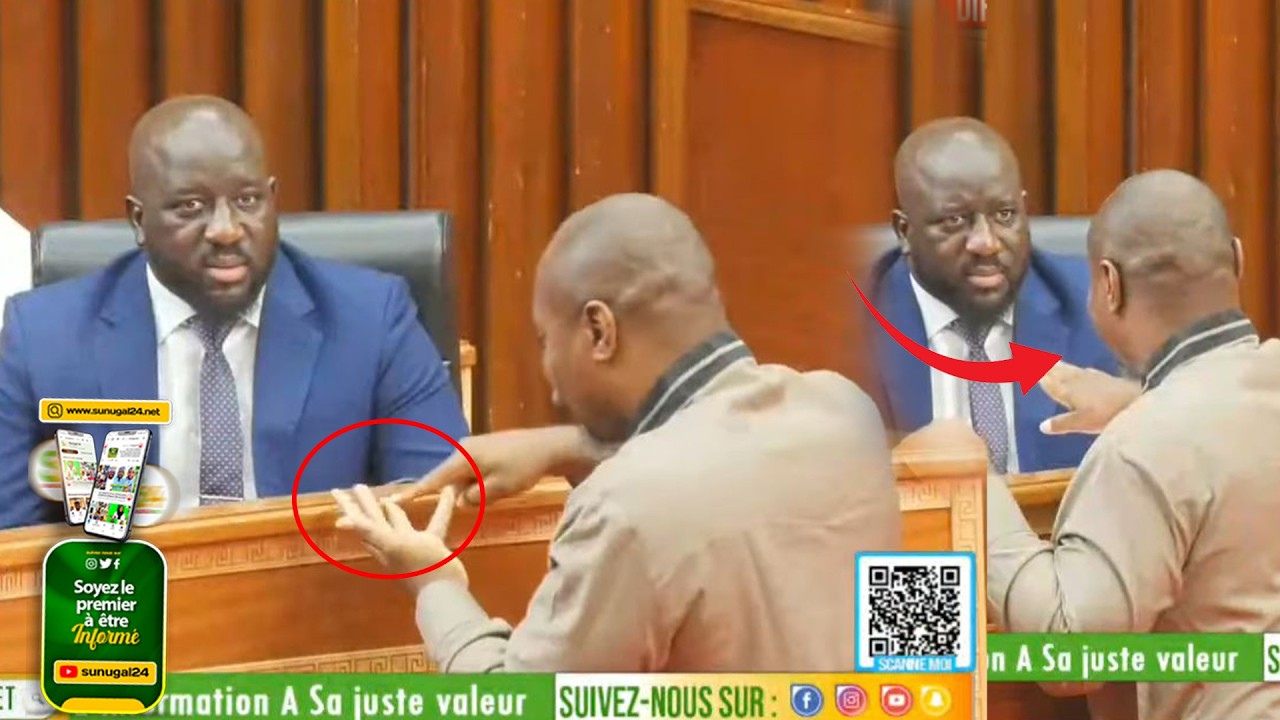 Isolite à l'assemblée - Le geste de Guy Marius Sagna qui enflamme la toile