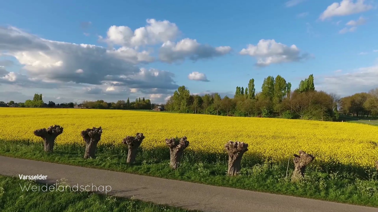 De Oude IJsselstreek prachtig in beeld gebracht