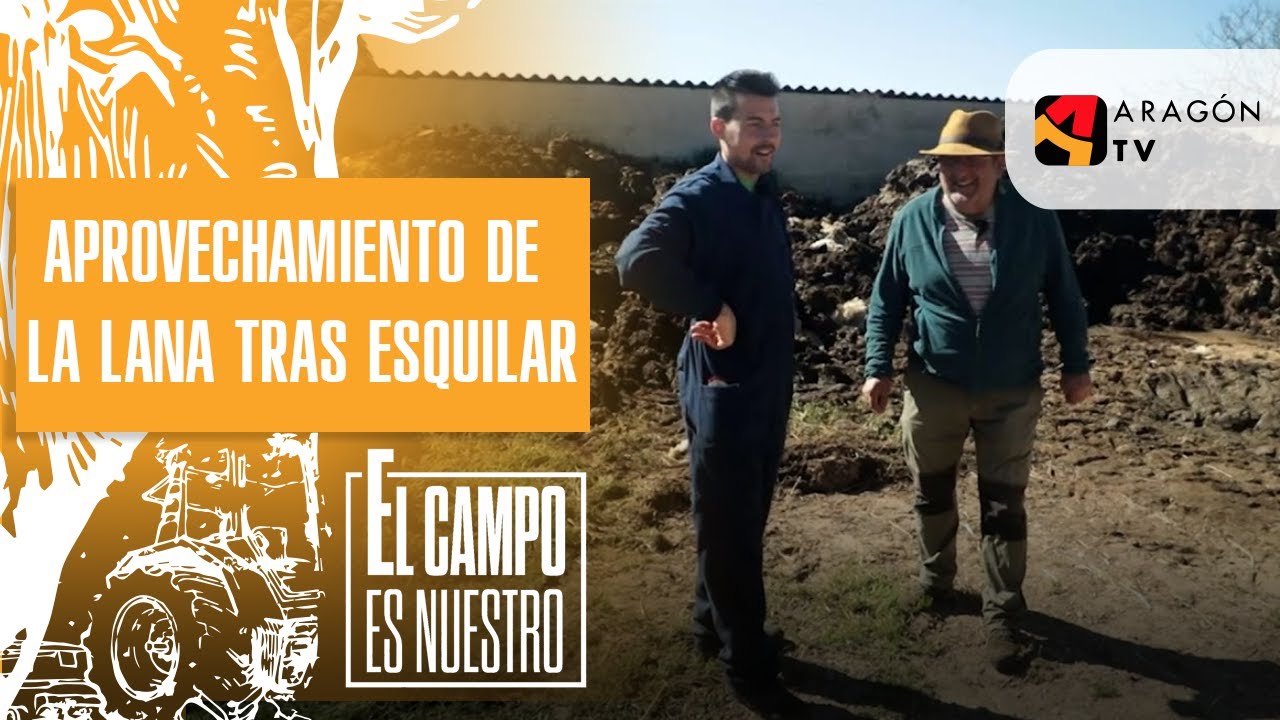 Aprovechamiento de la lana tras esquilar