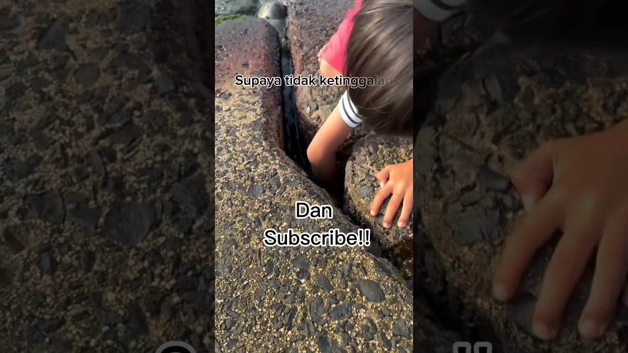 Anak Kecil Ini Tak Sengaja Menemukan Kepiting Raksasa di Dalam Lubang