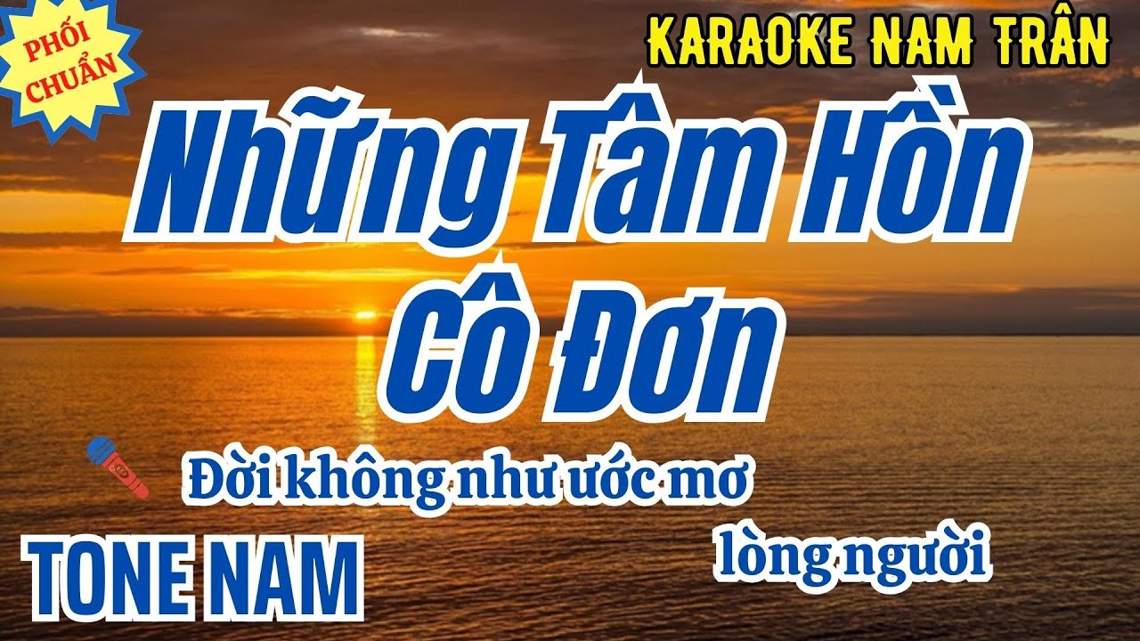 Karaoke Những Tâm Hồn Cô Đơn Tone Nam | Nam Trân