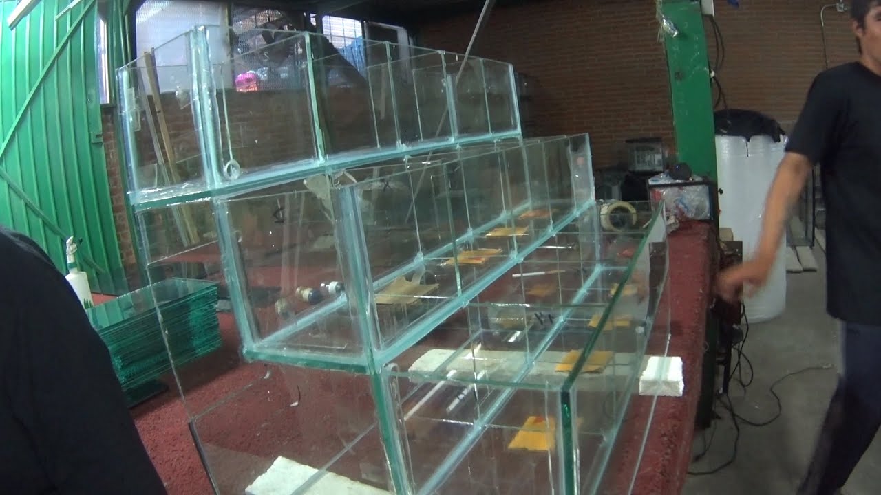 Armando Betera en el mercado de los peces de mixihuca(Mario Blogs)