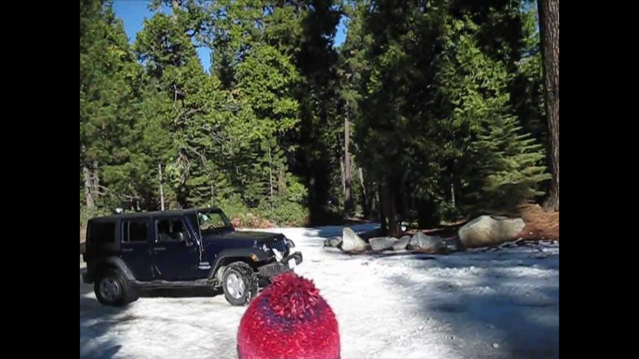 SnowNuts
