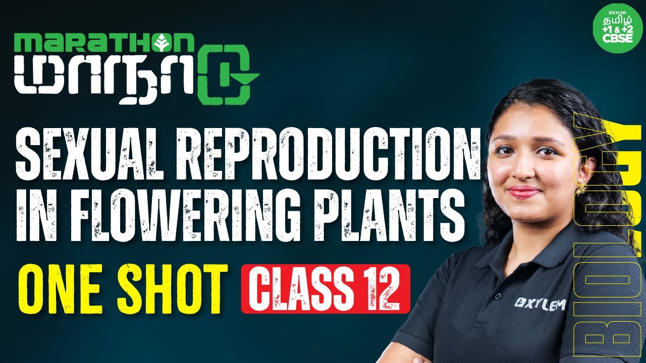 ONE SHOT : Sexual Reproduction in Flowering Plants | Class 12 | Xylem CBSE 11&12 Tamil