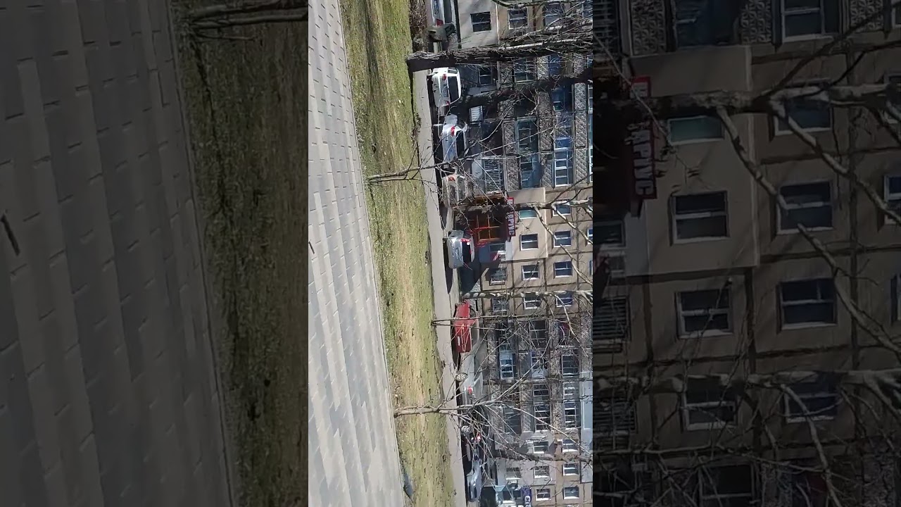11 марта 2026 г.