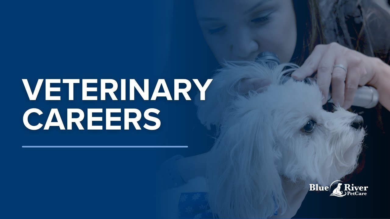Veterinary Careers