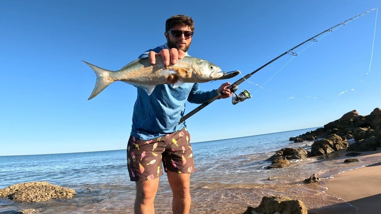How to Catch Tailor Nearly Every Cast!