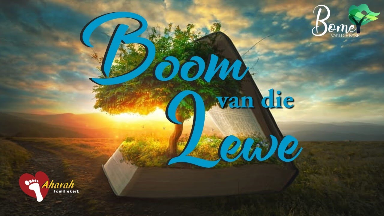 Boom van die Lewe