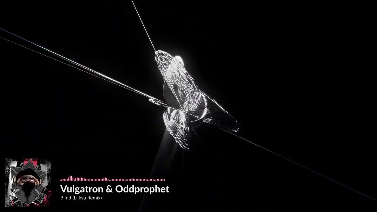 Vulgatron & Oddprophet - Blind (Liiksu Remix) [Fanmade Visuals]