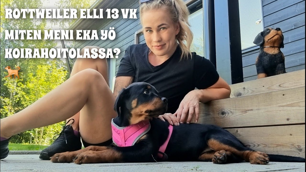 ROTTWEILER ELLI -  KOIRAHOITOLASSA EKA KERTAA🐕🐶
