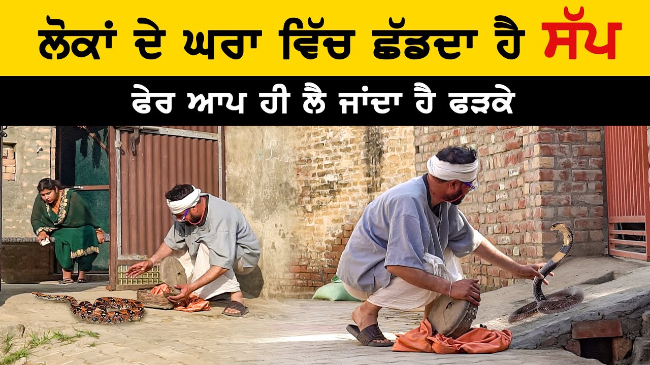 ਲਾਲਾ ਬਣਿਆ ਸੱਪਾਂ ਦਾ ਸ਼ਿਕਾਰੀ | DESI MASTI TEAM | Punjabi Comedy Video 2023